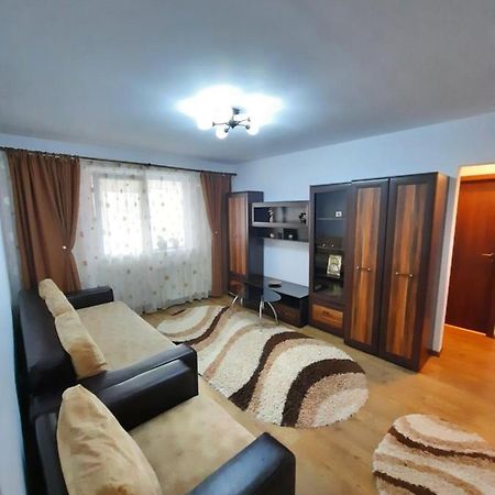 Happy apartament Apartment Sibiu Bagian luar foto