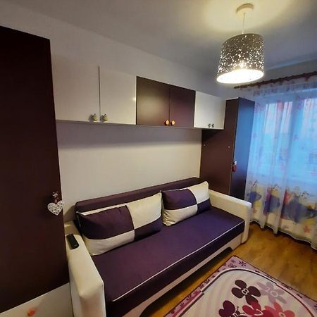 Happy apartament Apartment Sibiu Bagian luar foto