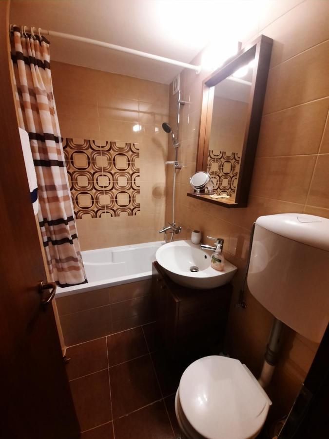 Happy apartament Apartment Sibiu Bagian luar foto